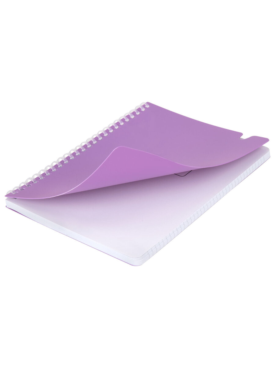 Общая тетрадь Brauberg клетка 80 лист. - фото 3