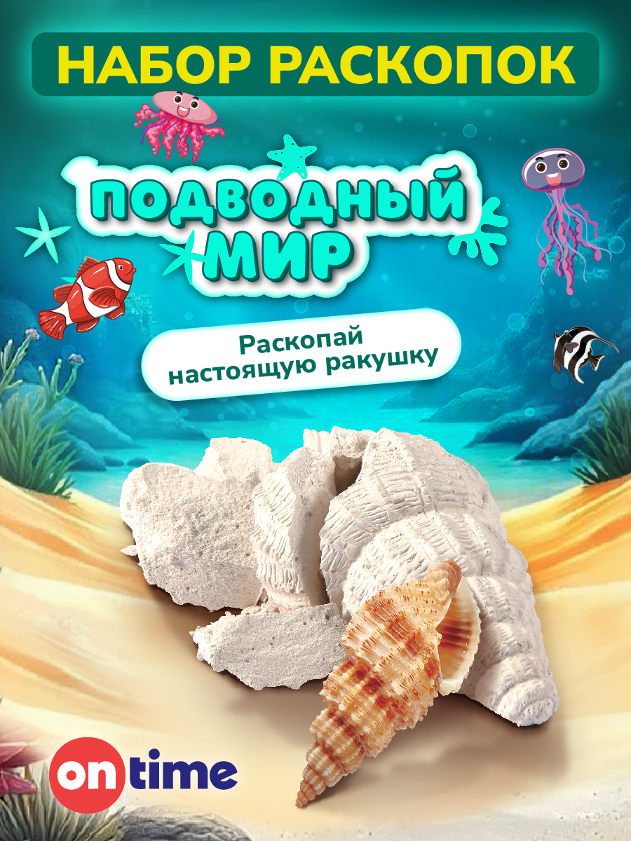 Набор для раскопок ON TIME Ракушка - фото 1