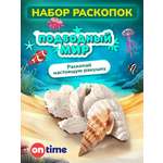 Набор для раскопок ON TIME Ракушка