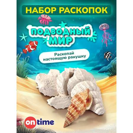 Набор для раскопок ON TIME Ракушка