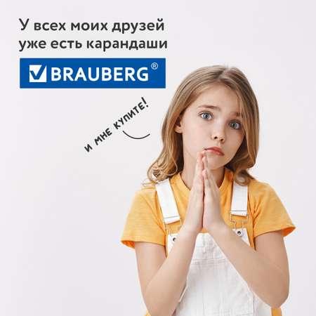 Карандаши цветные Brauberg 36 шт.