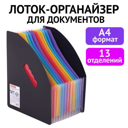 Лоток-органайзер Brauberg для рисунков чертежей бумаг и документов 271153