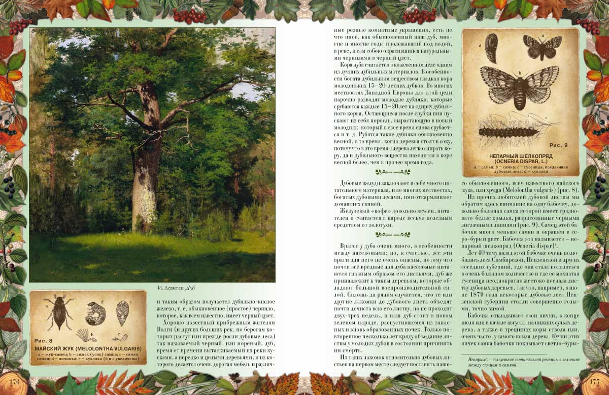 Книга Белый город Беседы о русском лесе - фото 7
