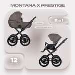 Коляска 2в1 Riko Basic Montana X Prestige коричневый