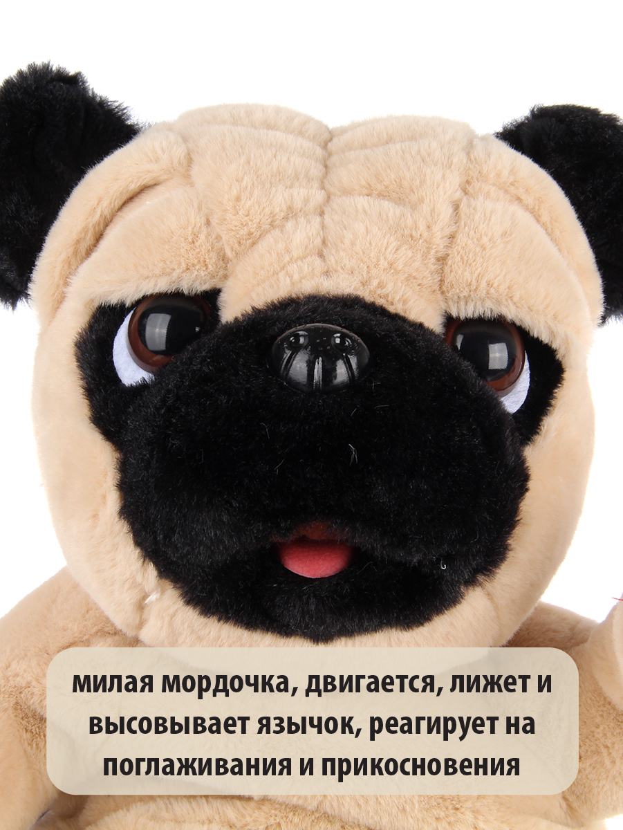 Рюкзак Veld Co - фото 9