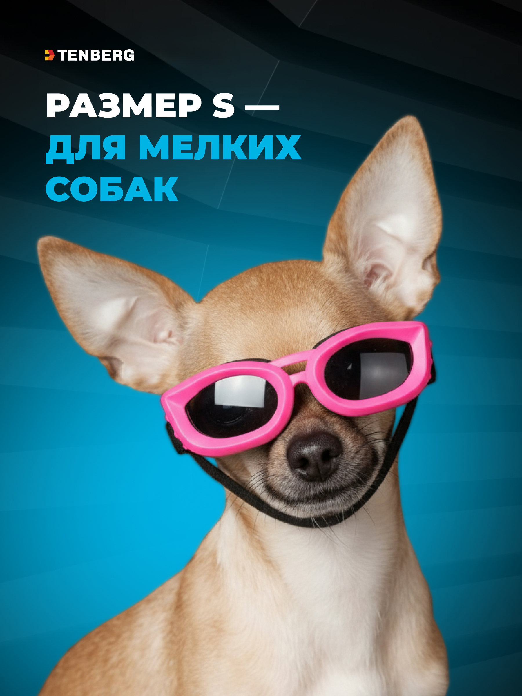 Солнцезащитные очки для собак TENBERG Puppy Pink - фото 2