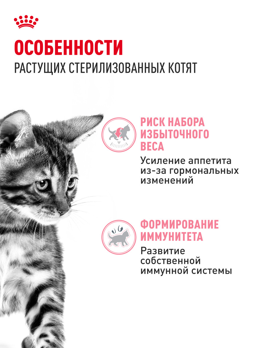 Корм для котят Royal Canin 85г Kitten Sterilised желе для стерилизованных котят пауч - фото 2