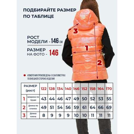 Жилет WBR