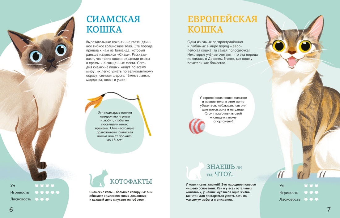 Книга Махаон Энц Вилла А Все все все домашние питомцы - фото 6