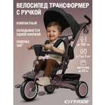 Трехколесный велосипед CITYRIDE