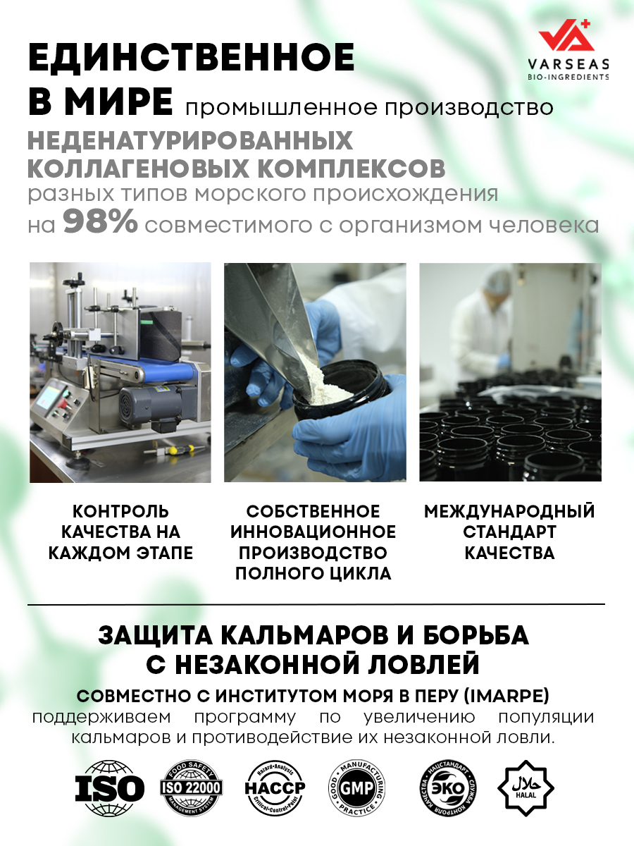 Морской коллаген 2 типа AKSOLAGEN с экстрактом чаги - фото 11