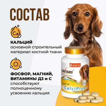 Витамины для собак Unitabs Calci Plus с Q10 100таблеток