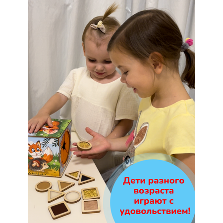 Игрушка CleverFox