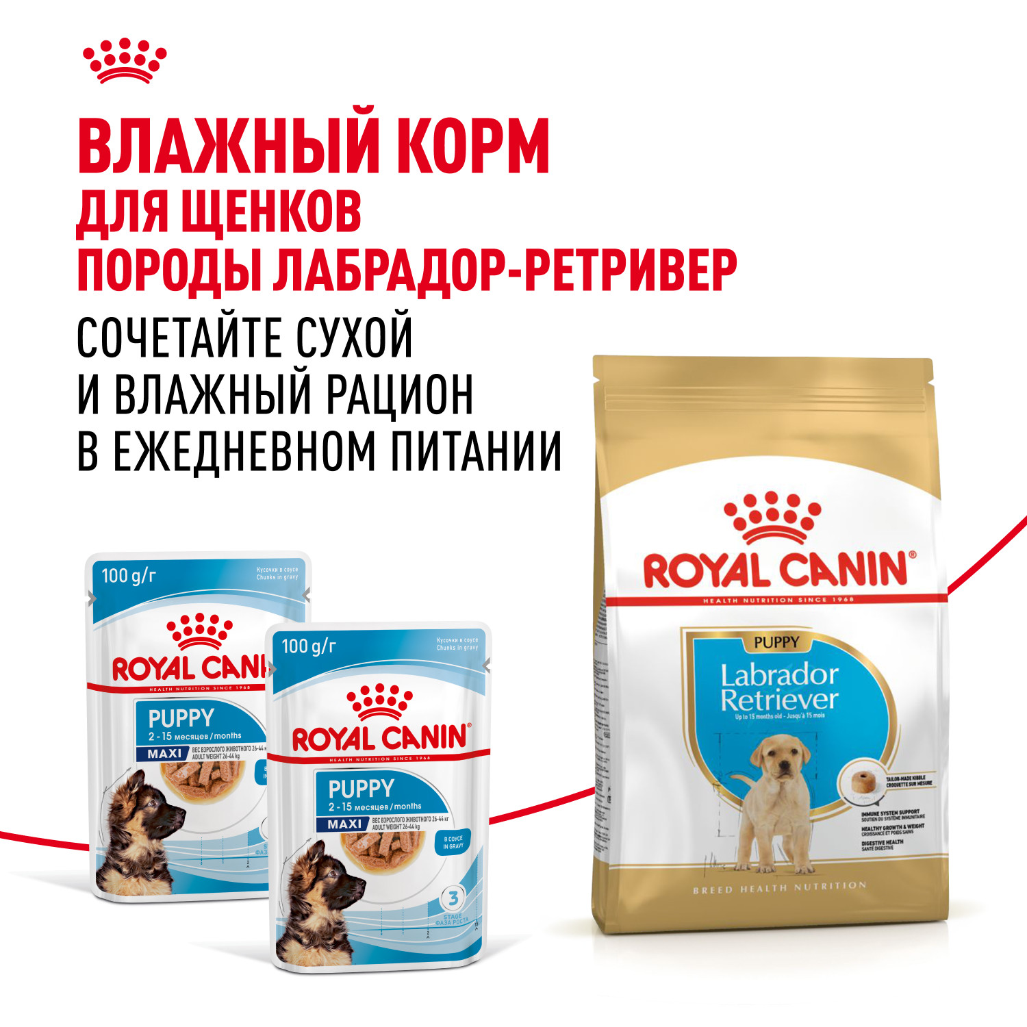 Корм для щенков ROYAL CANIN Labrador Retriever Puppy породы лабрадор ретривер 3кг - фото 8