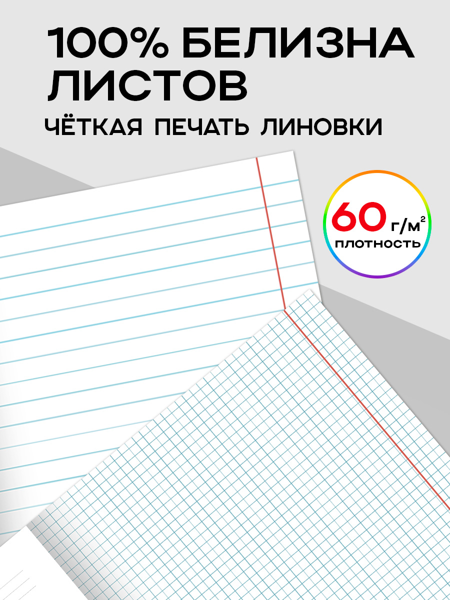 Тетрадь Prof-Press 24 лист. 10 шт. (Иностранный язык, Биология, История, Русский язык, Литература, Алгебра) - фото 5