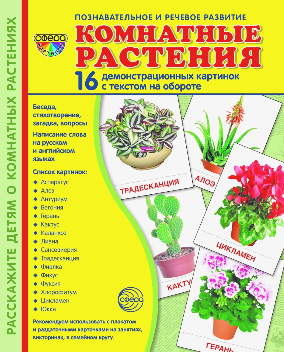 Карточки ТЦ Сфера Комнатные растения - фото 1