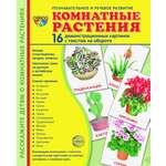 Карточки ТЦ Сфера Комнатные растения