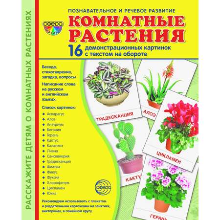 Карточки ТЦ Сфера Комнатные растения