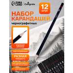 Карандаши Calligrata