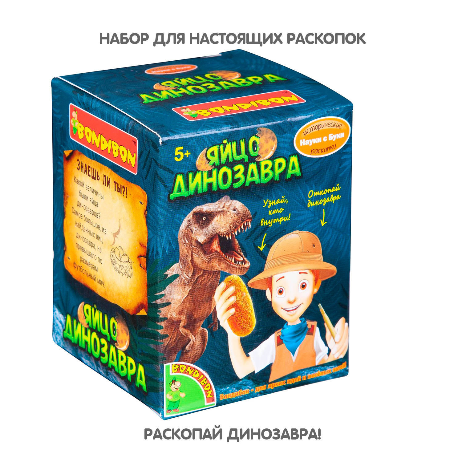 Набор для раскопок Bondibon Науки с Буки - фото 2