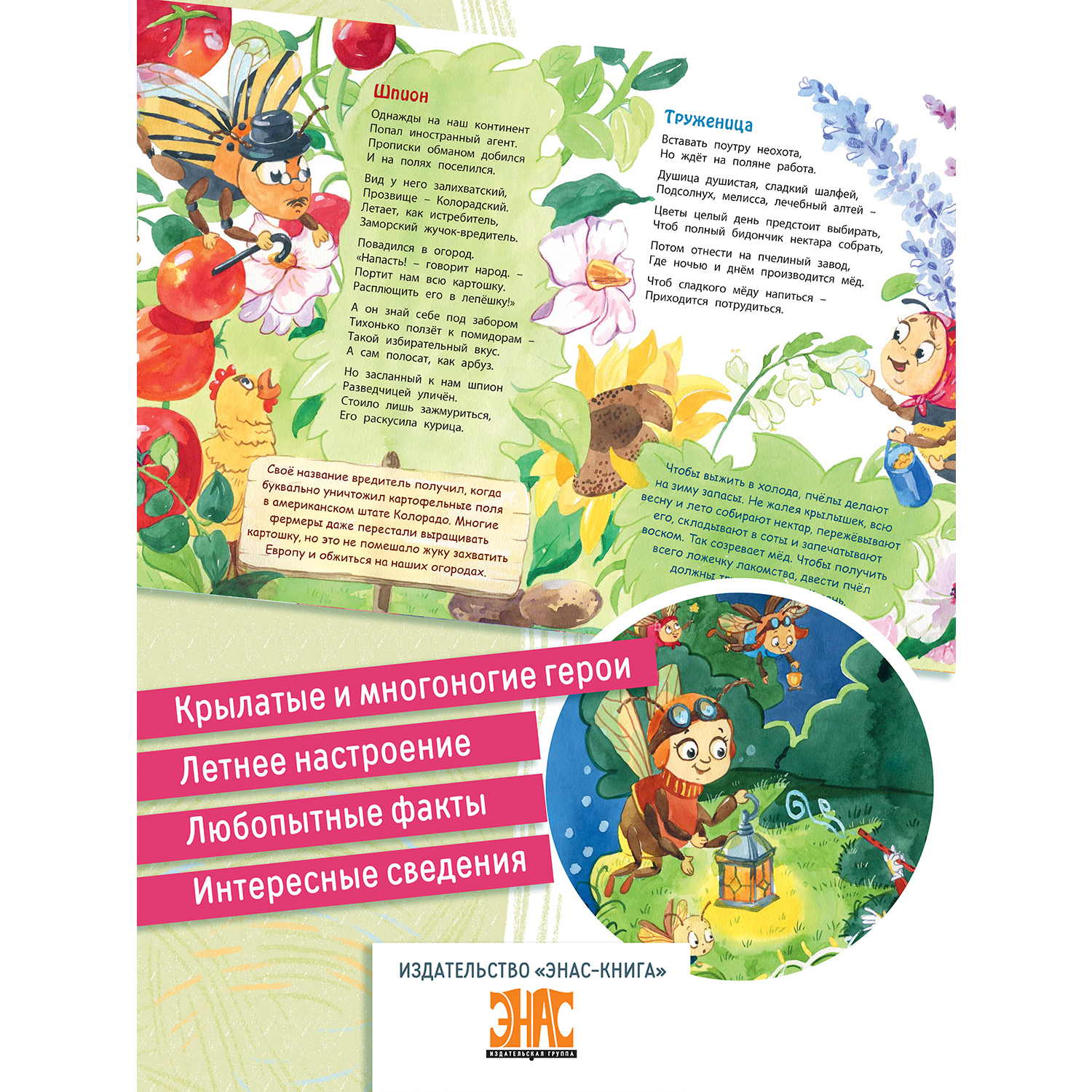 Книга ЭНАС-книга Букашки в кармашке - фото 3