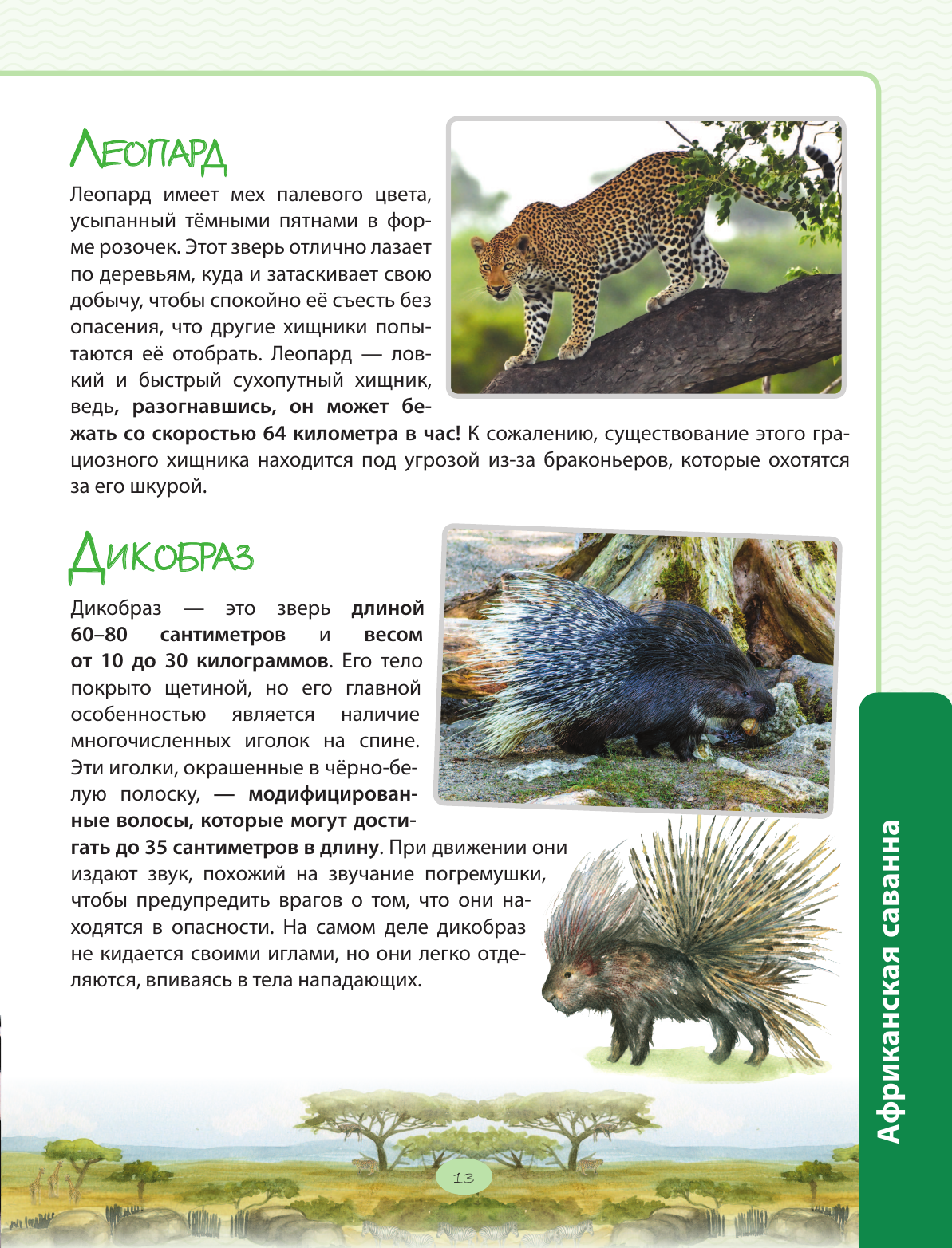Книга Эксмо Животные Большая экспедиция вокруг света - фото 17