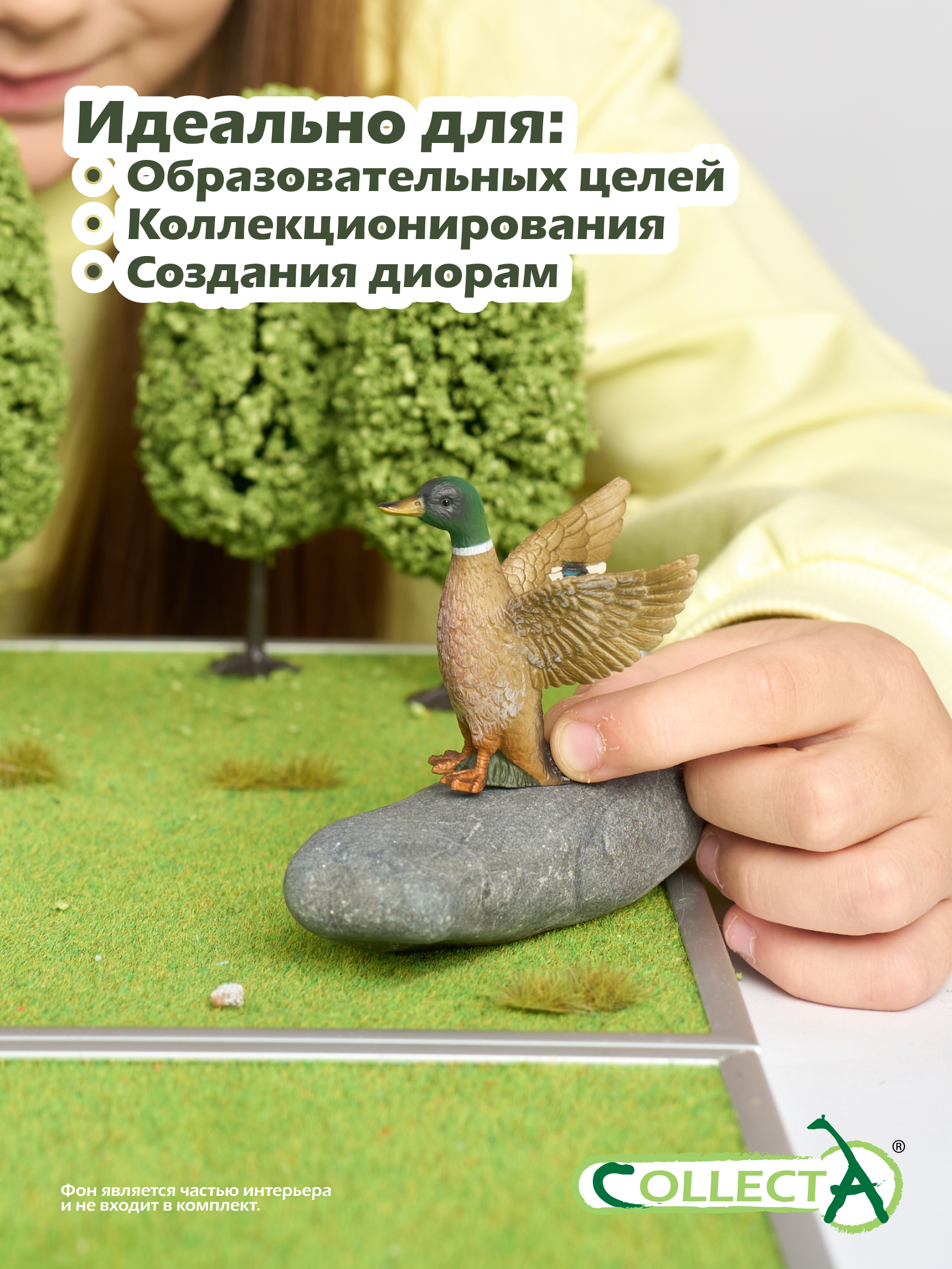 Фигурка Collecta Дикий селезень 5 см - фото 6