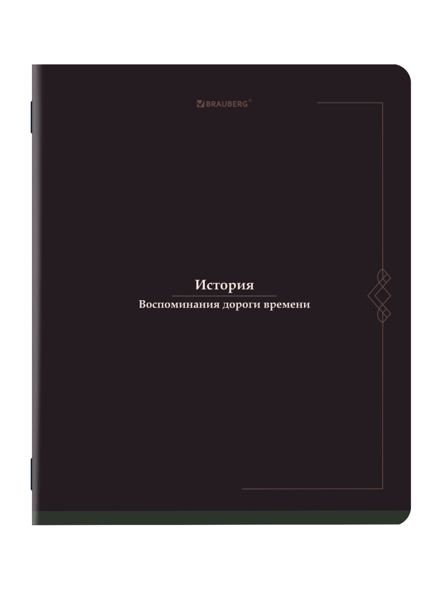 Тетрадь Brauberg 48 лист. 12 шт. - фото 17