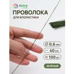 Набор для творчества Astra Craft плетение проволока 0,6 мм 40 см 100 шт