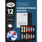 Пастель художественная сухая Гаммa 12 шт.