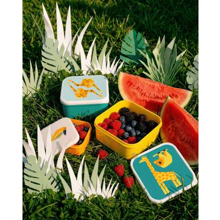 Контейнеры FUTURINO Home 3шт