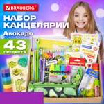 Набор канцелярский Brauberg Avocado 43 предм.