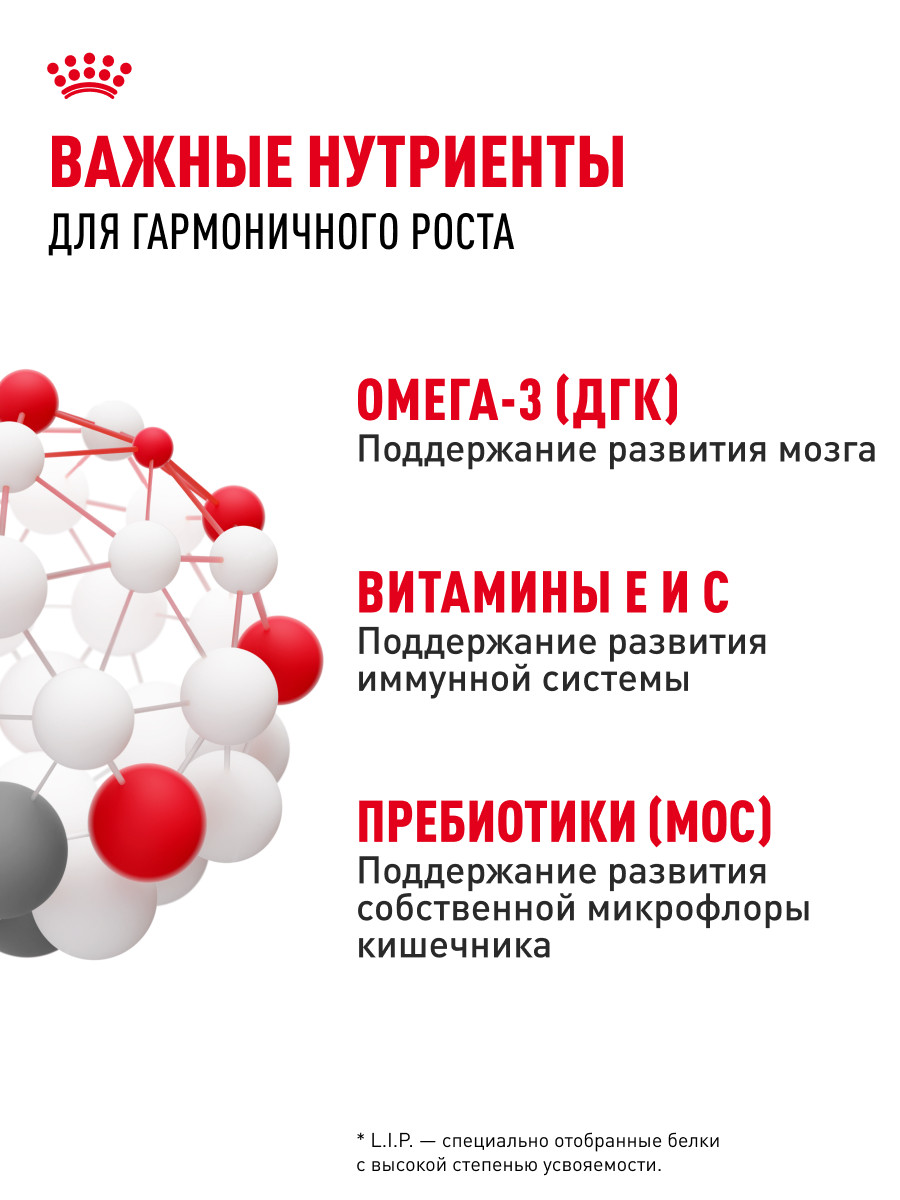Корм для щенков Royal Canin Mini Puppy мелких пород до 10 месяцев кусочки в соусе пауч 85г - фото 5