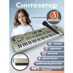 Игрушка музыкальная Рыжий кот 61 клавиши синтезатор
