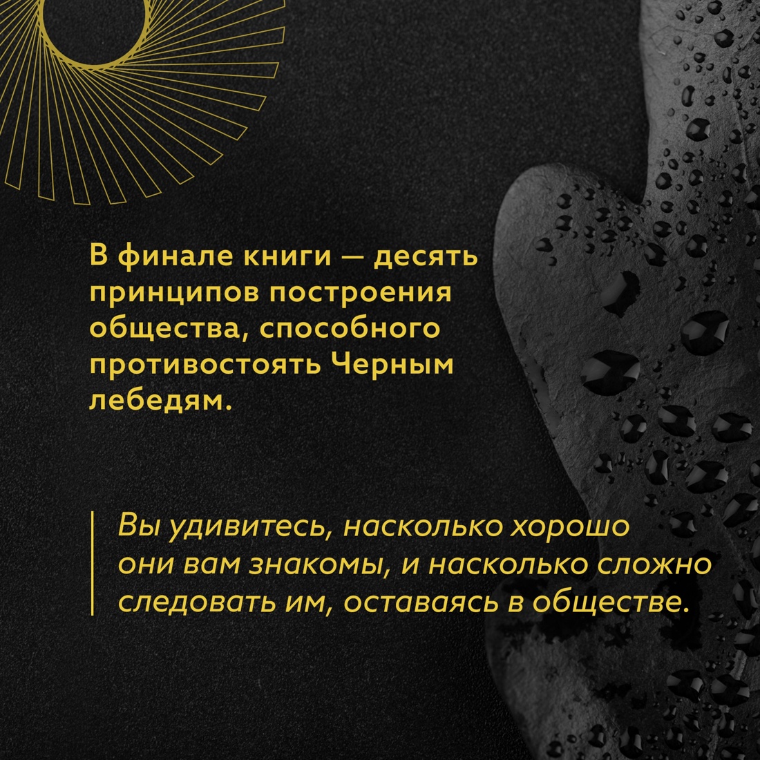 Книга КОЛИБРИ Талеб Черный лебедь Комплект с ежедневником INCERTO - фото 11