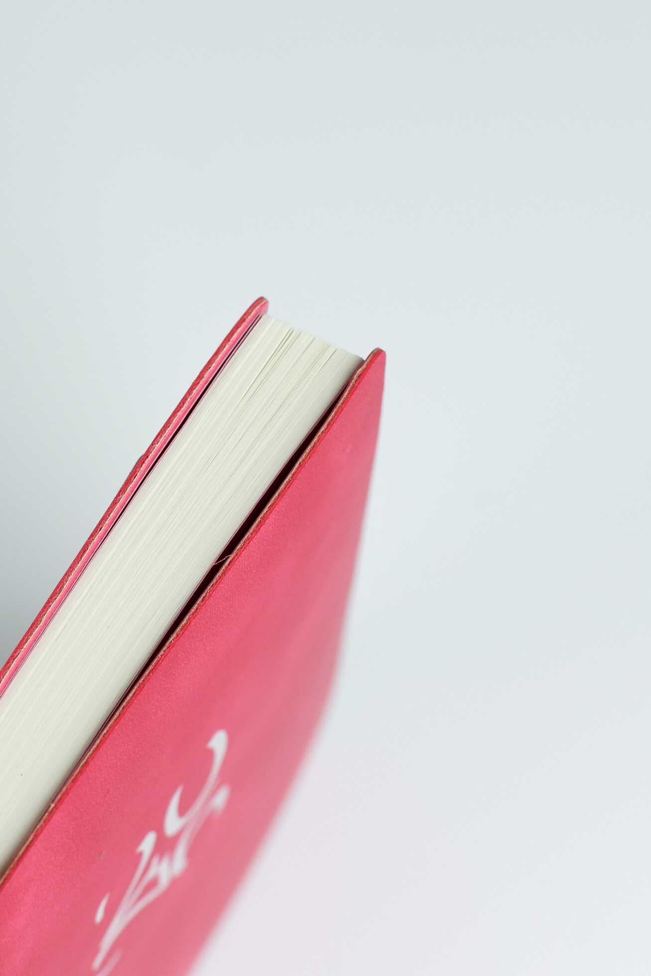 Ежедневник Феникс + ESCALADA 120 лист. - фото 10