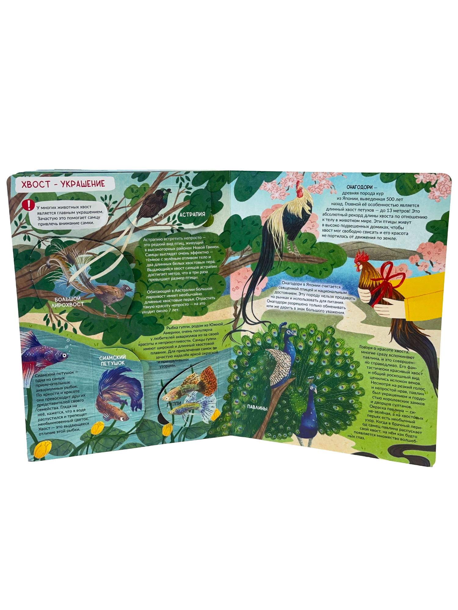 Энциклопедия с окошками БимБиМон Книга детская энциклопедия с окошками Виммельбух - фото 12