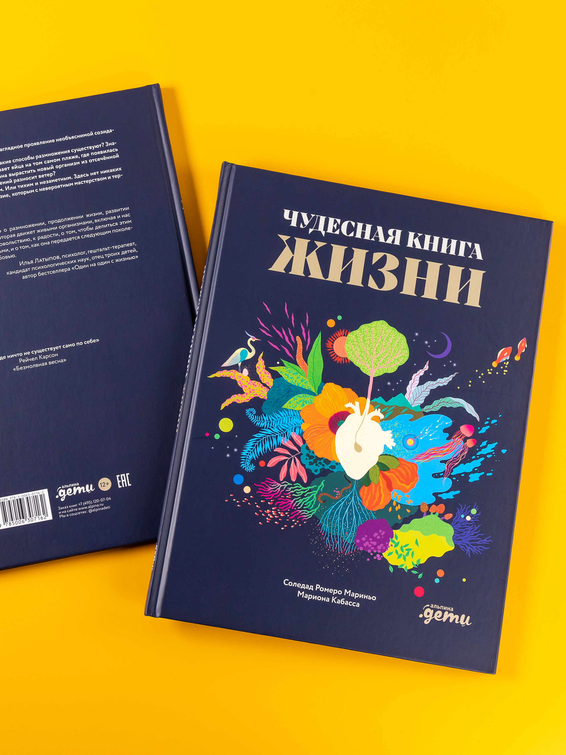 Книга Альпина. Дети Чудесная жизни - фото 7