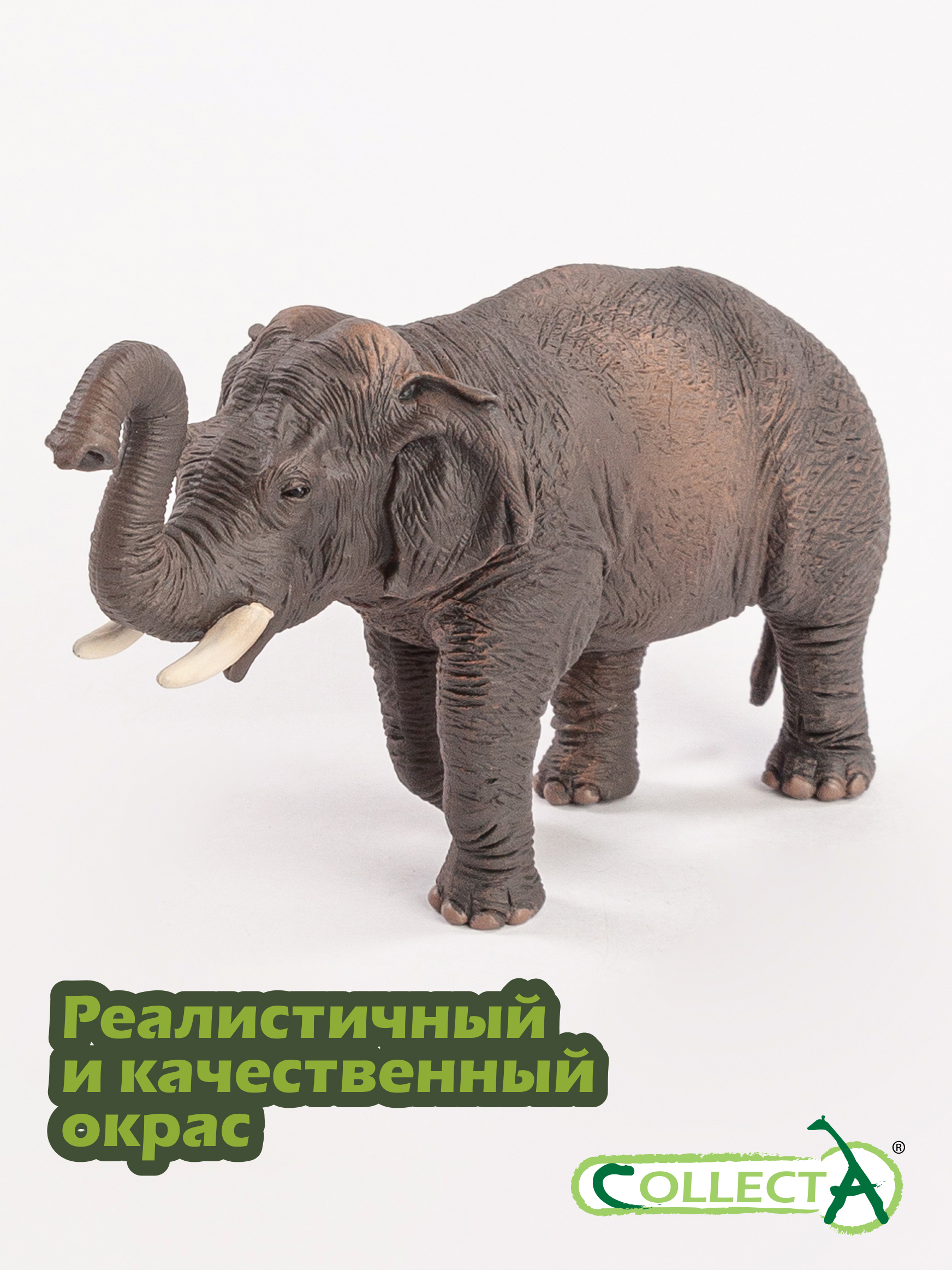 Фигурка Collecta Азиатский слон - фото 4