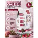 Корм для собак крупных и средних сухой Clan Classic Active 25/16 для активных говядина и индейка 3кг