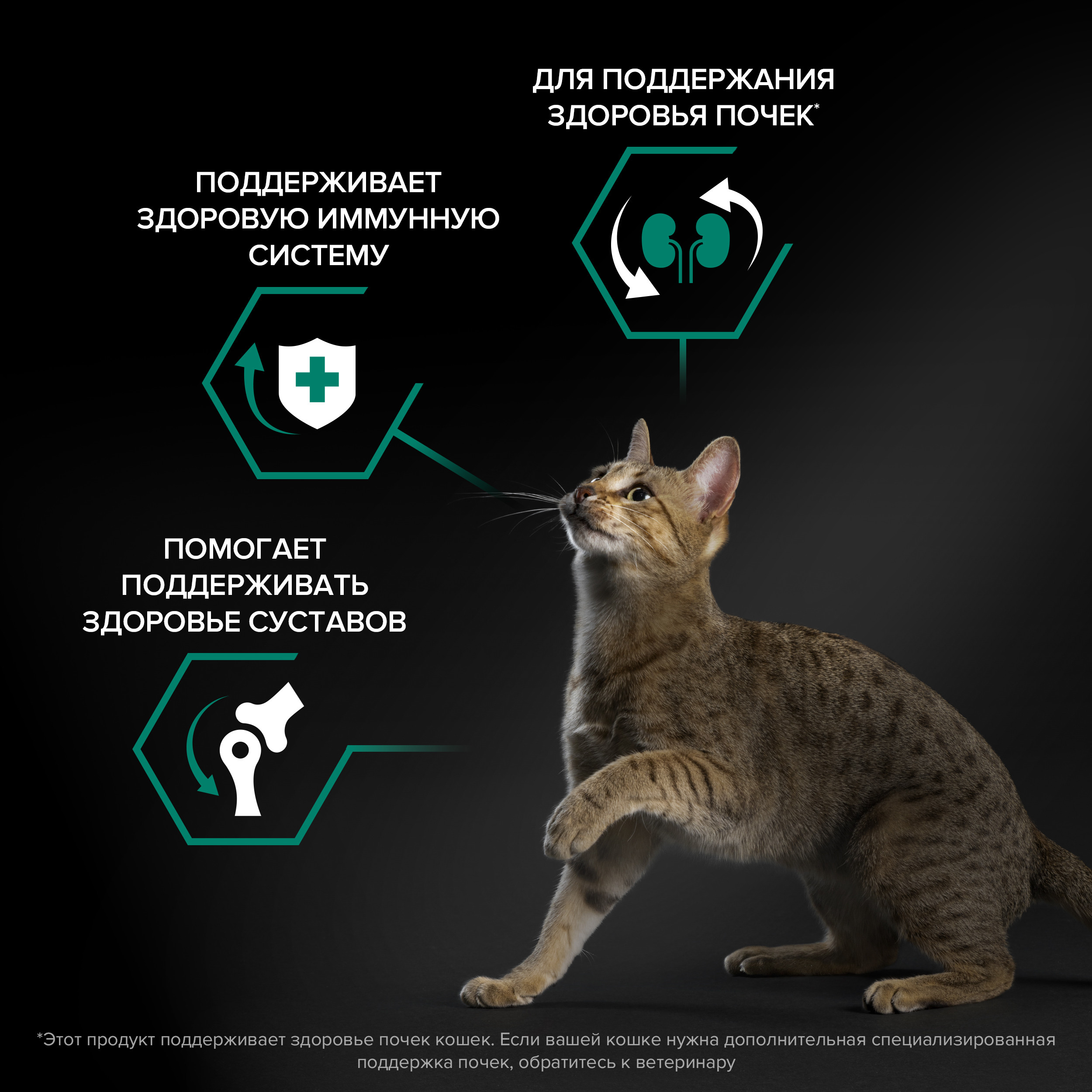 Корм сухой для кошек PRO PLAN RENAL PLUS 1.5 кг с курицей - фото 3