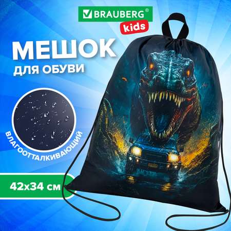 Мешок для обуви Brauberg