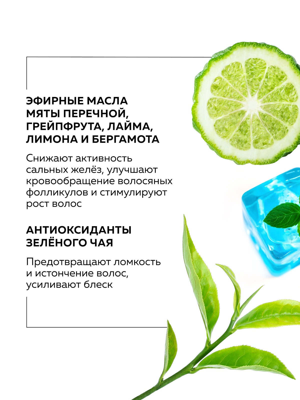 Шампунь GREENNOVA для жирных волос 450 мл - фото 3