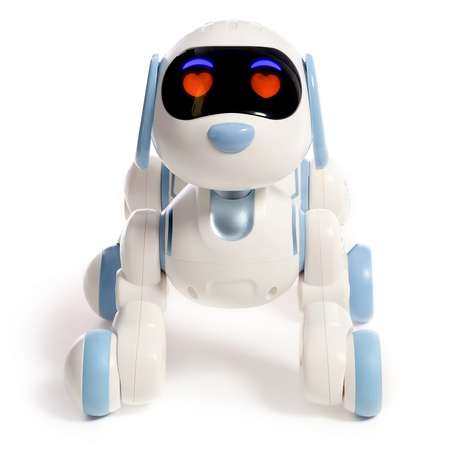 Собака РУ IQ BOT