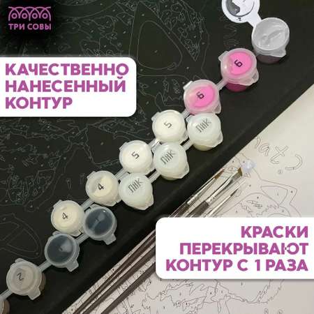 Картина по номерам ТРИ СОВЫ Стильный гепард