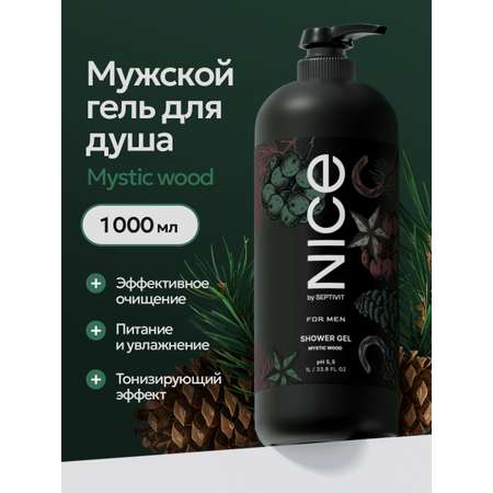 Гель NICE by Septivit Mystic Wood 5000 мл 1 шт.