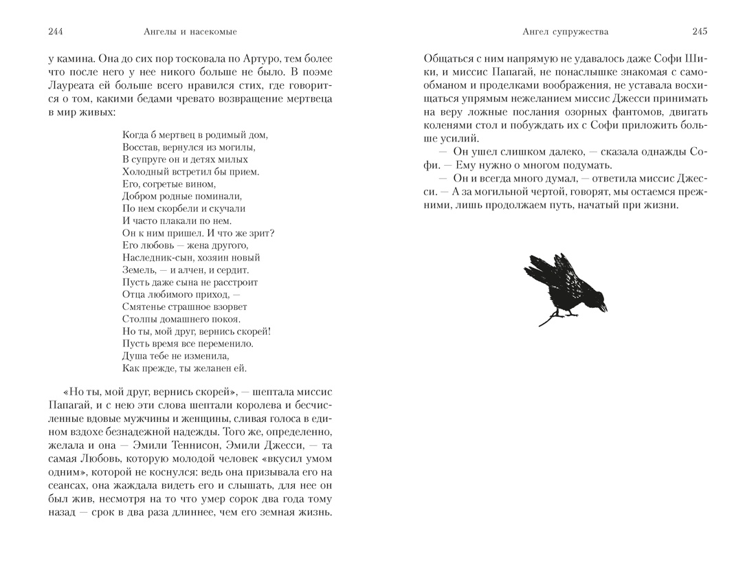 Книга АЗБУКА Ангелы и насекомые - фото 18