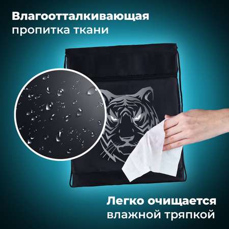 Мешок для обуви Brauberg
