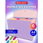 Папка-органайзер Brauberg лиловая с персиковым А4