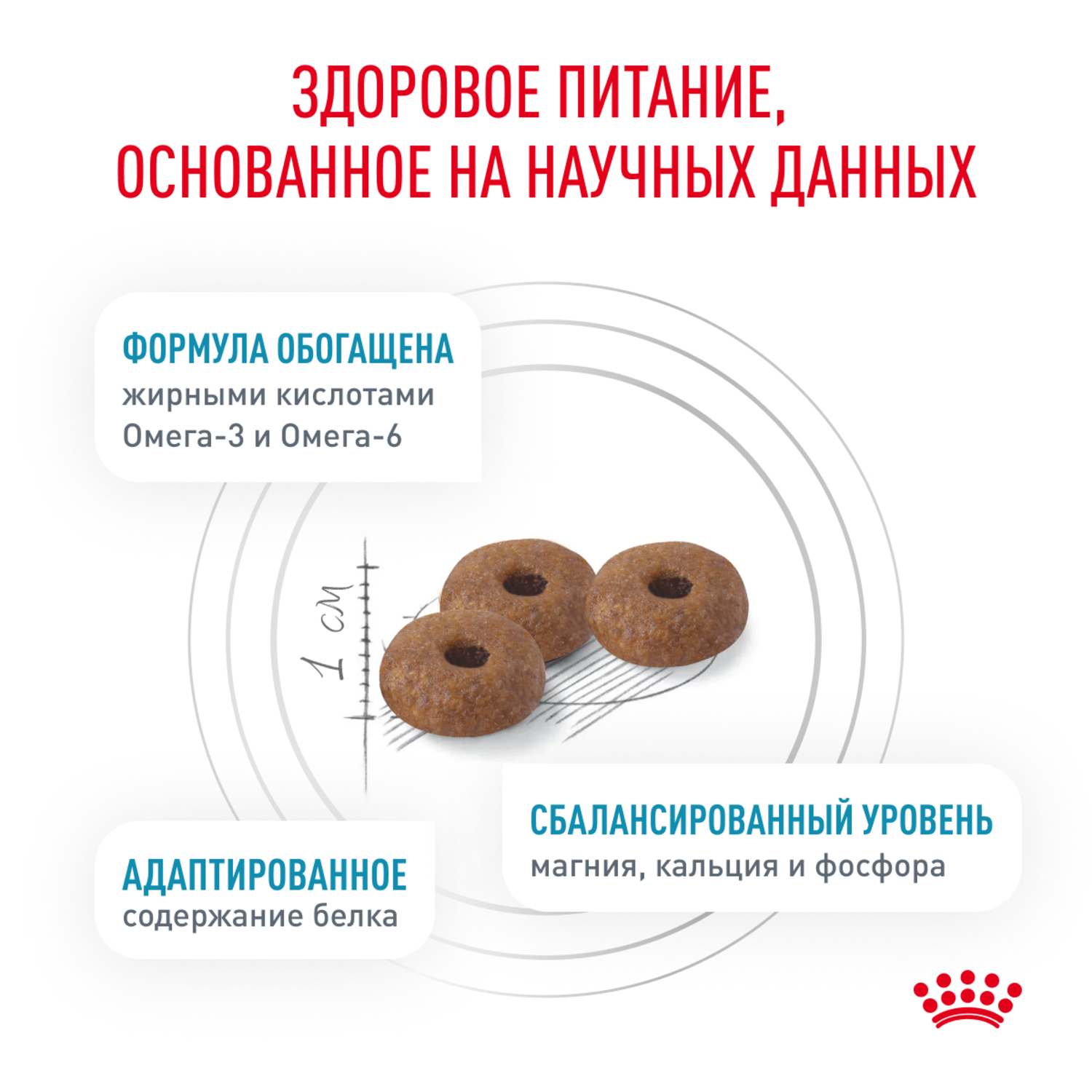 Корм для кошек ROYAL CANIN Skin&Coat Formula кастрированных идеальная кожа и шерсть 0.4кг - фото 4